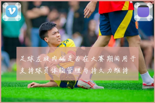 足球左旋肉碱是否在大赛期间用于支持球员体脂管理与持久力维持