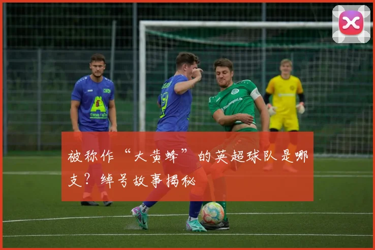 被称作“大黄蜂”的英超球队是哪支？绰号故事揭秘