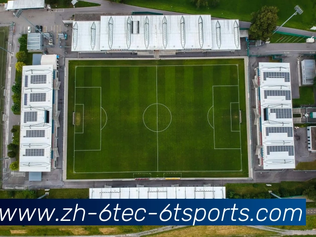 6T体育平台生态图